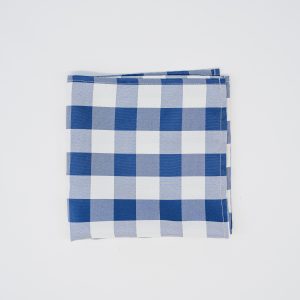 Blue gingham tablecloth for cafes and outdoor dining